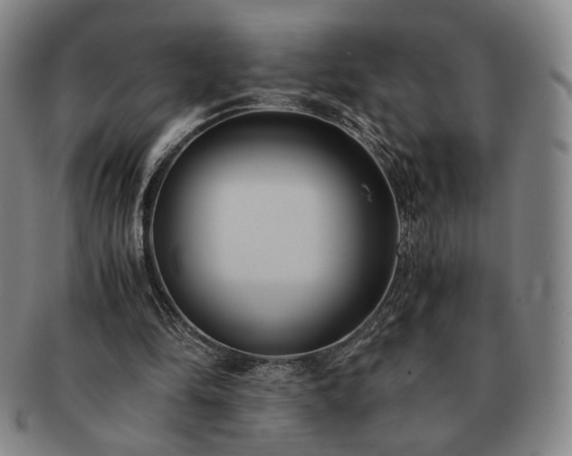 X0000091570294200708271204