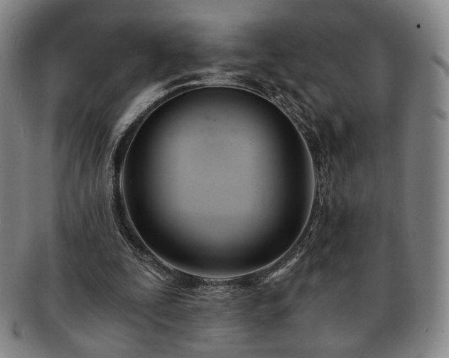 X0000091570295200708271204