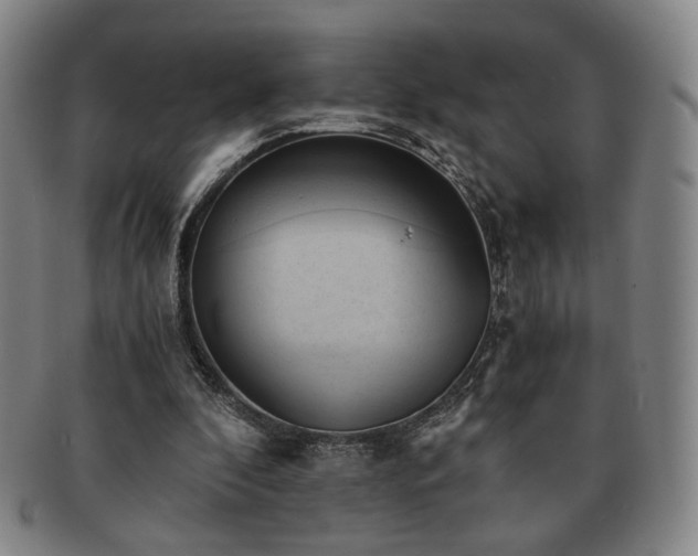 X0000091570296200708271204