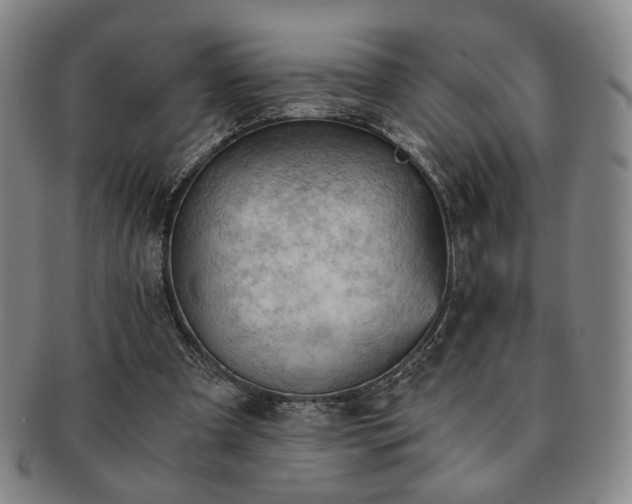 X0000091570297200708271204