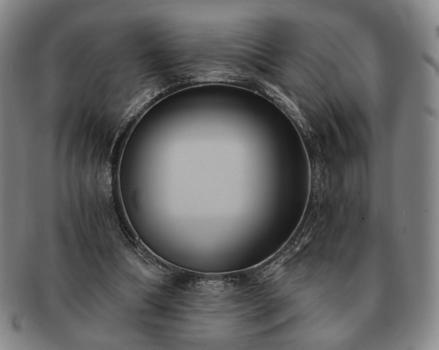 X0000091570298200708271204