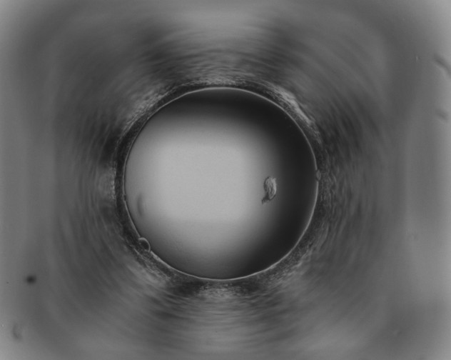X0000091570299200708271204
