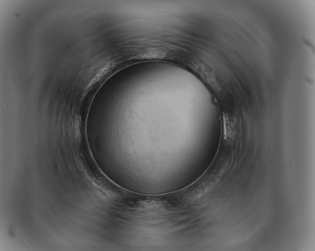 X0000091570300200708271204
