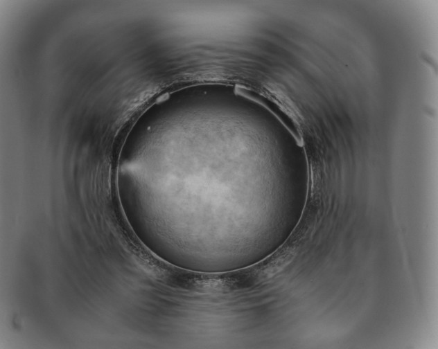X0000091570301200708271204