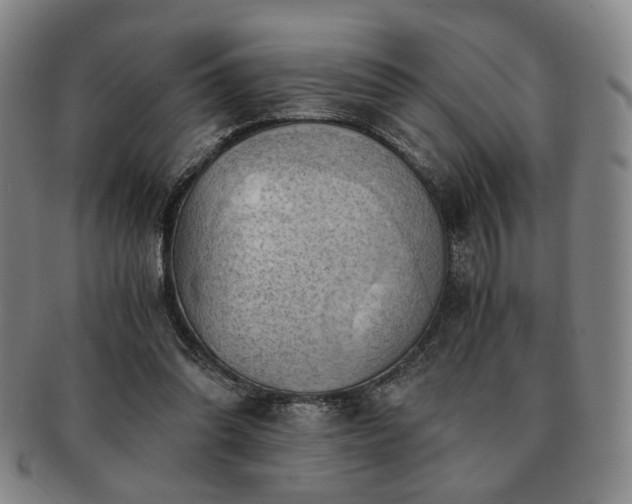 X0000091570302200708271204