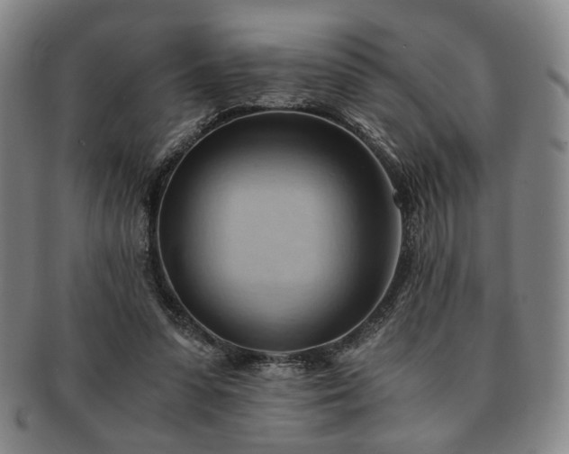 X0000091570303200708271204