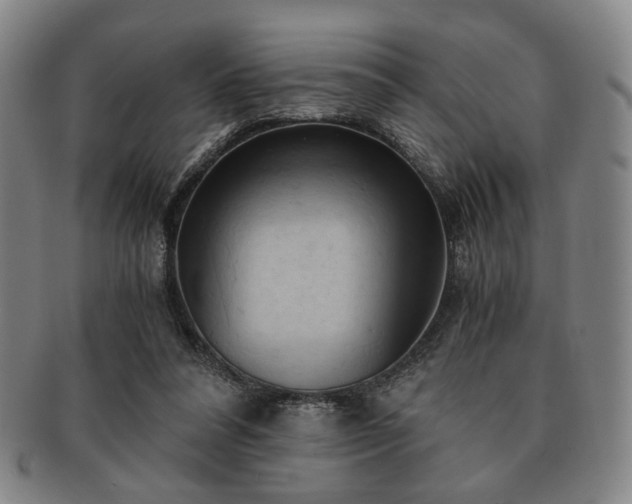 X0000091570304200708271204