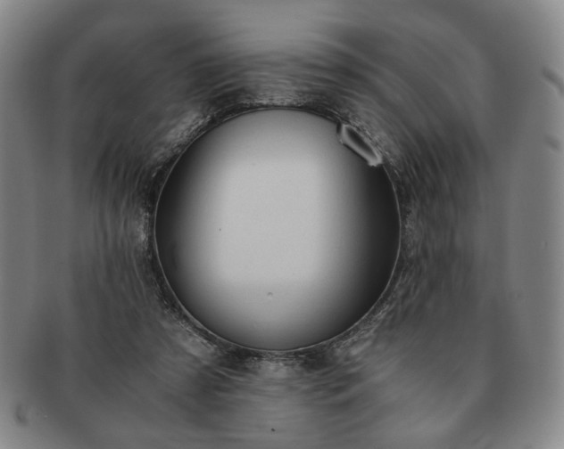 X0000091570305200708271204