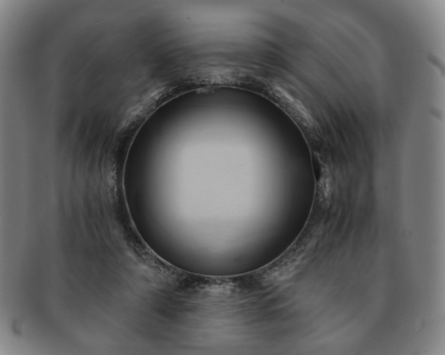 X0000091570306200708271204