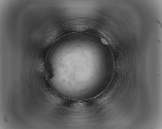 X0000091570307200708271204