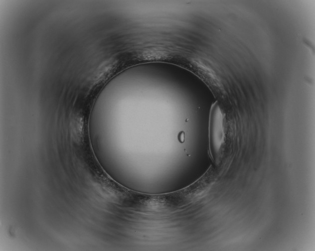X0000091570308200708271204