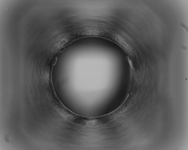 X0000091570309200708271204
