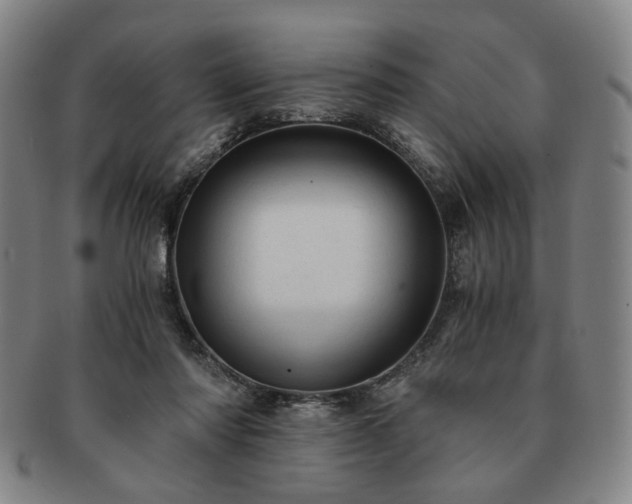 X0000091570310200708271204