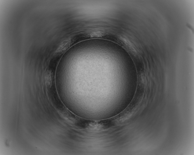 X0000091570311200708271204