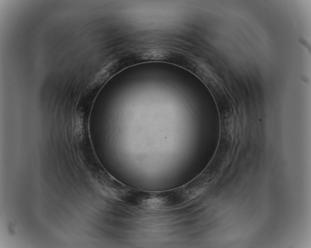 X0000091570312200708271204