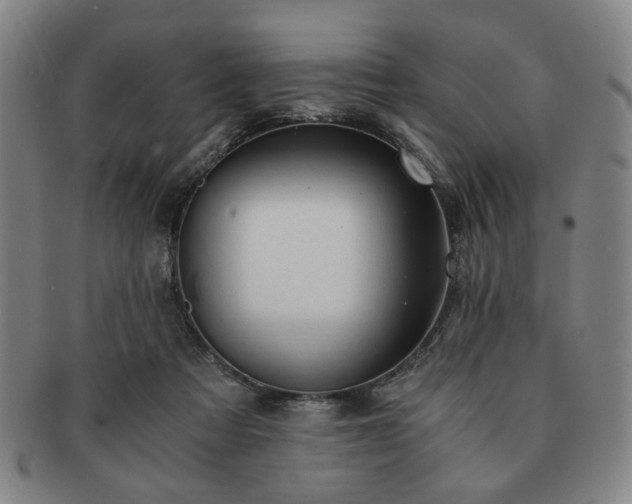 X0000091570313200708271204