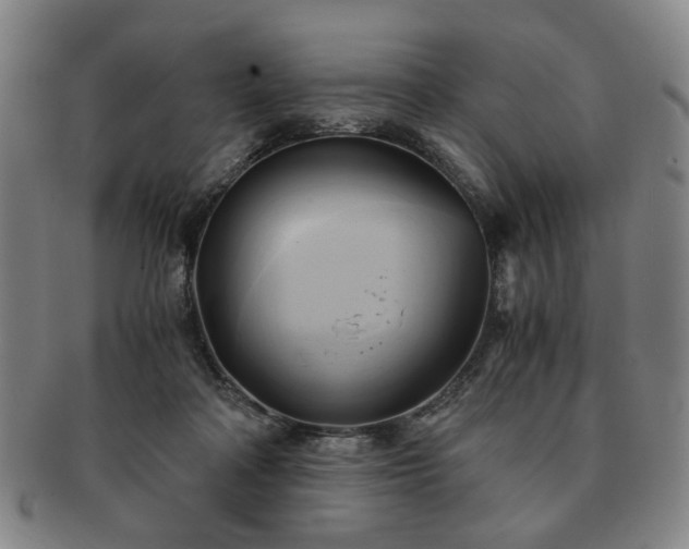 X0000091570314200708271204