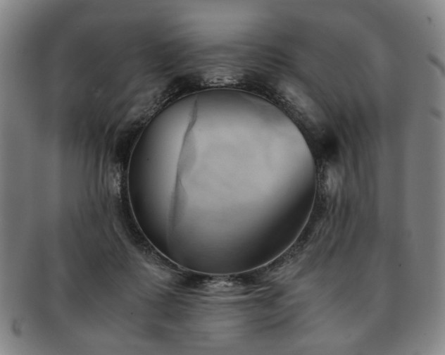 X0000091570315200708271204