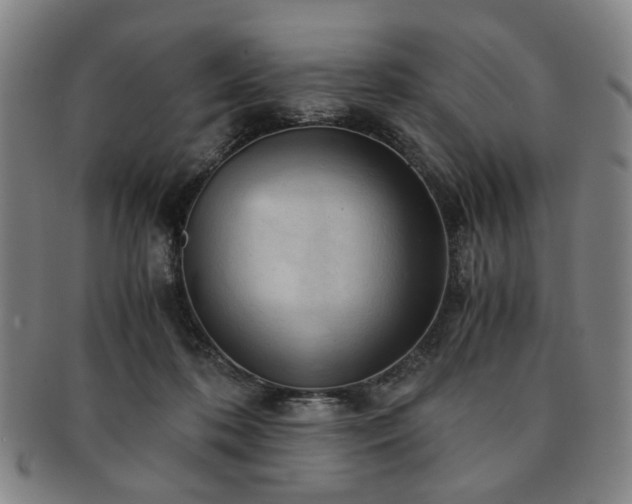 X0000091570316200708271204