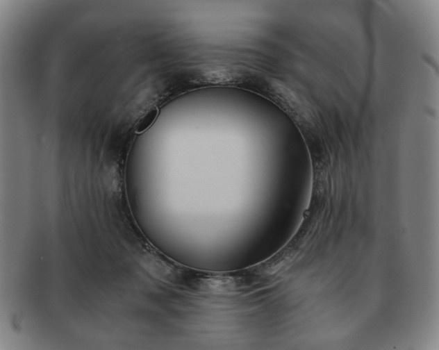 X0000091570317200708271204