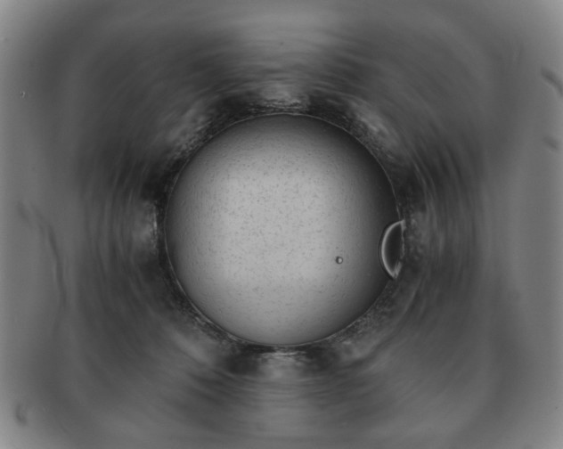 X0000091570320200708271204