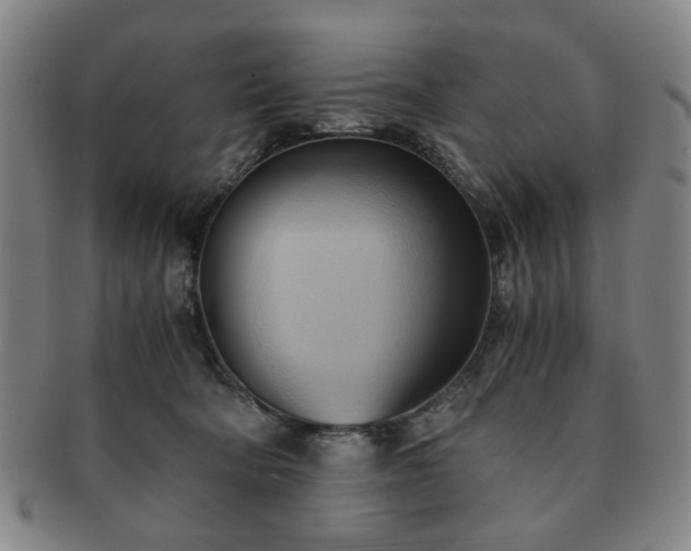 X0000091570322200708271204