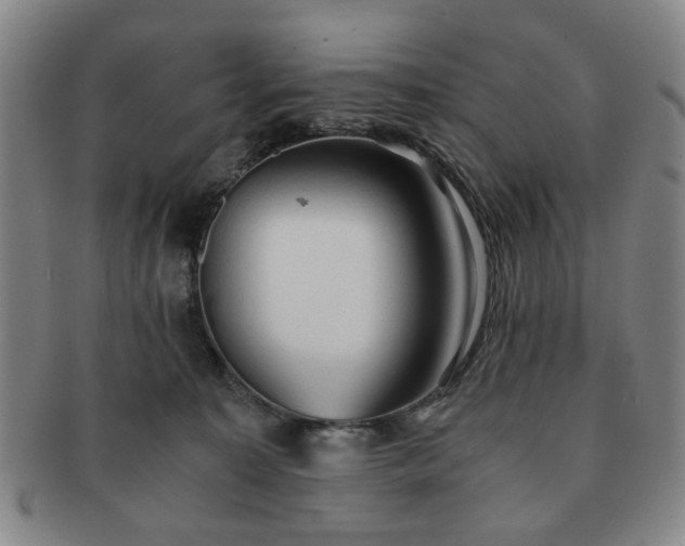 X0000091570323200708271204