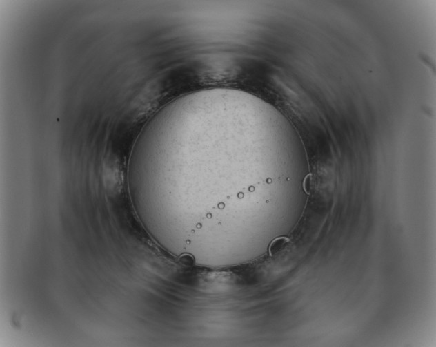 X0000091570324200708271204