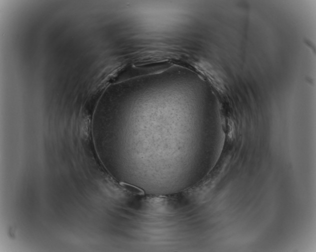 X0000091570325200708271204