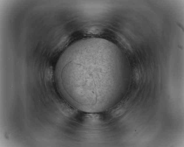 X0000091570328200708271204