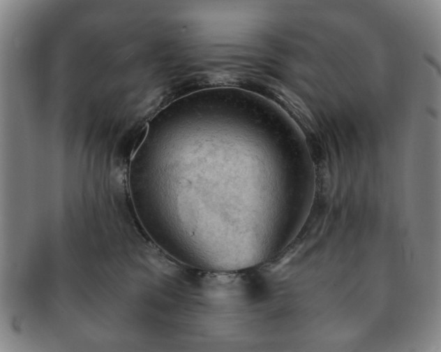 X0000091570329200708271204