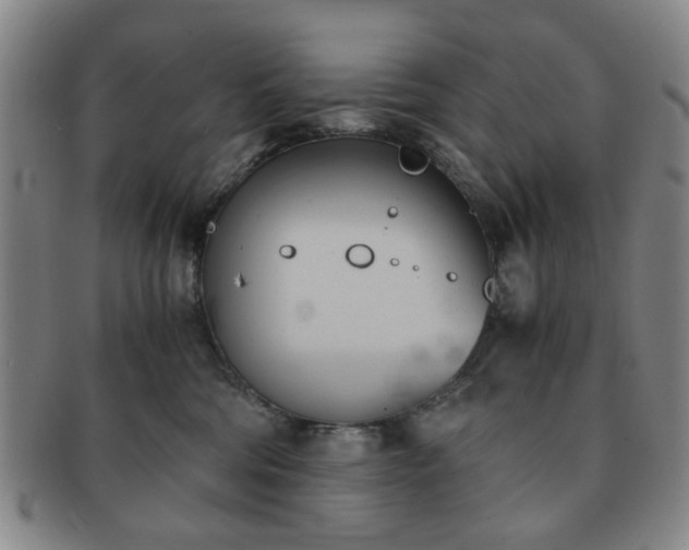 X0000091570330200708271204