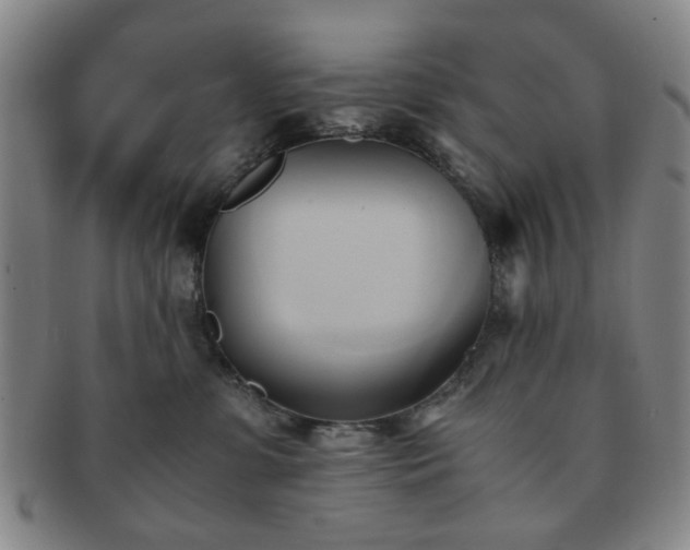 X0000091570331200708271204