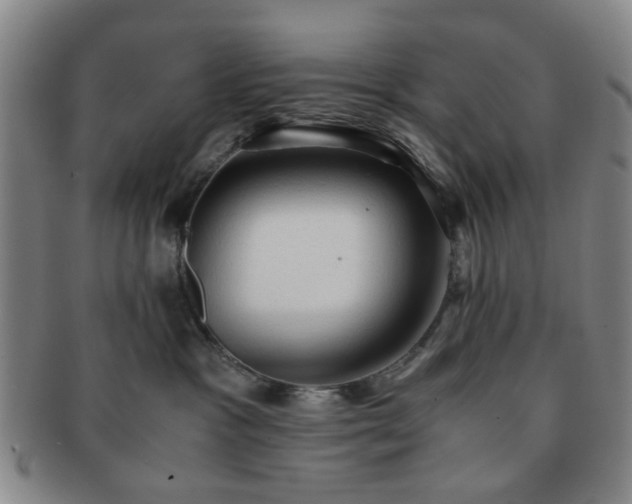 X0000091570333200708271204