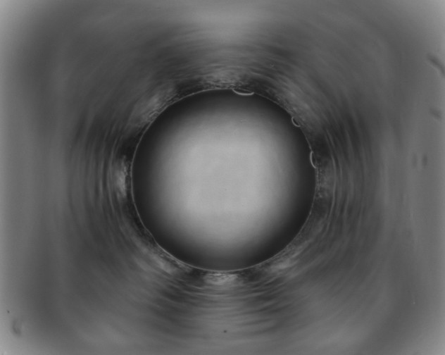 X0000091570334200708271204