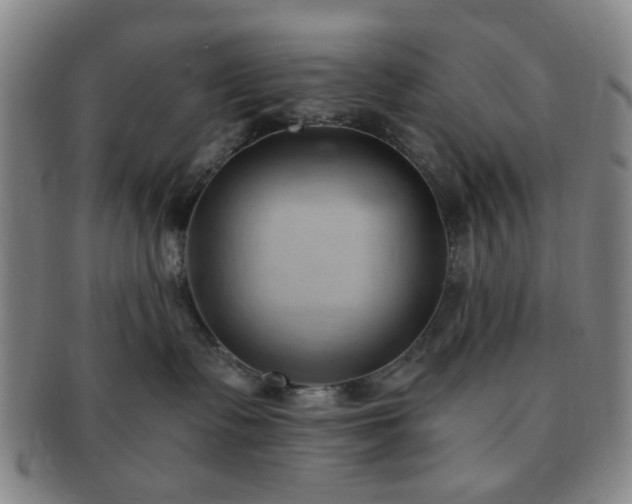 X0000091570335200708271204