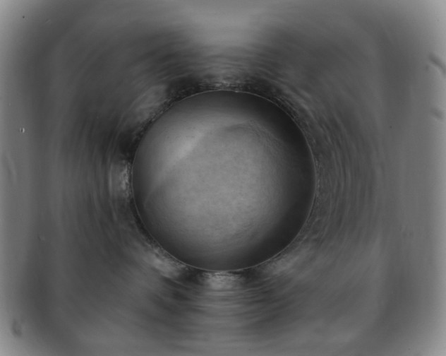 X0000091570336200708271204
