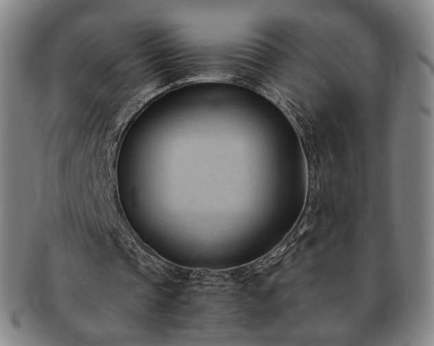 X0000091570337200708271203