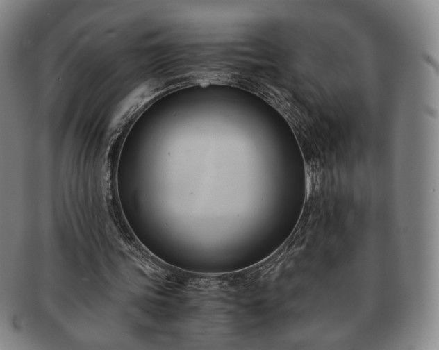 X0000091570339200708271203