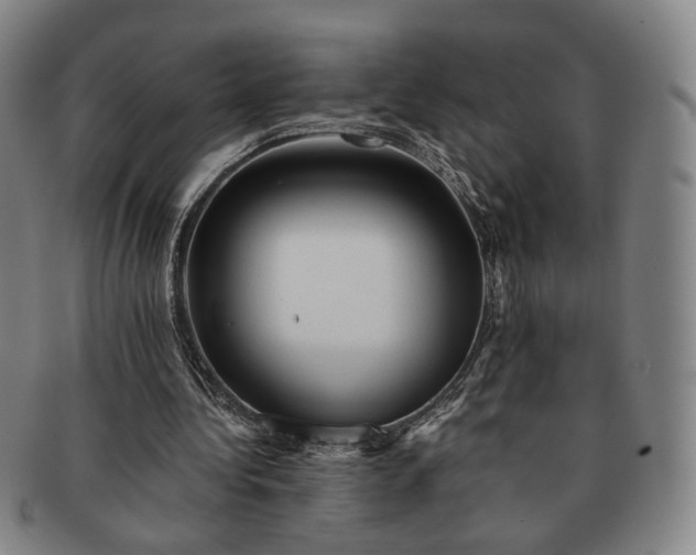 X0000091570340200708271203