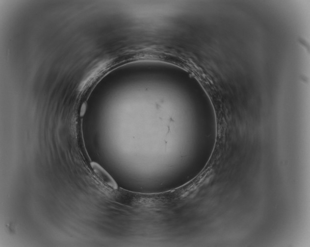 X0000091570341200708271203