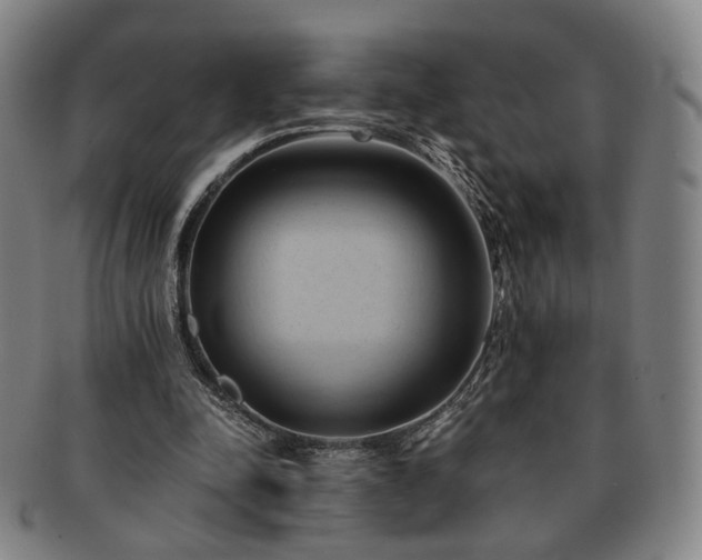 X0000091570342200708271203