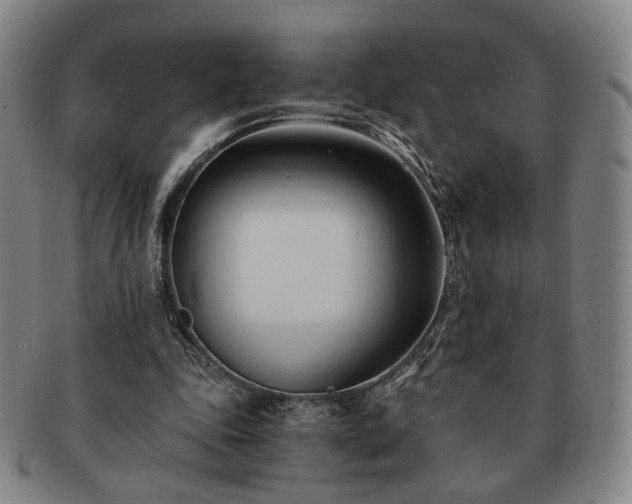 X0000091570343200708271203