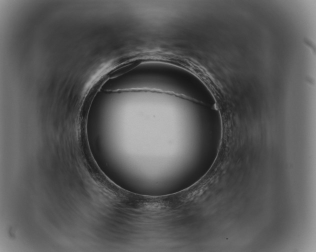 X0000091570344200708271203