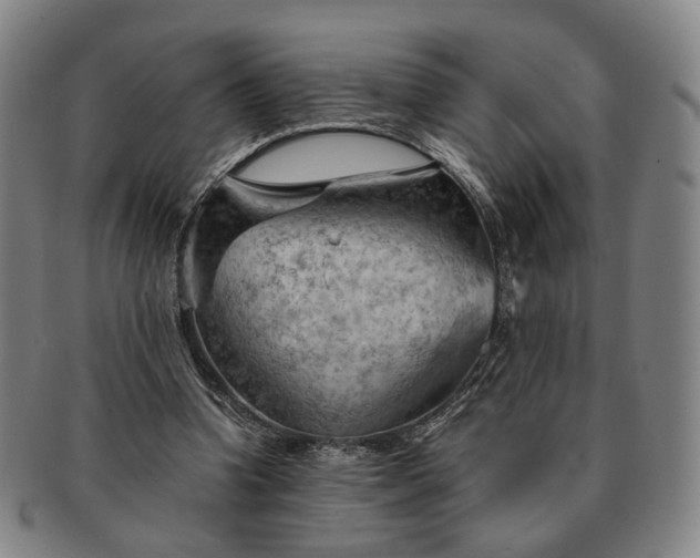 X0000091570346200708271203