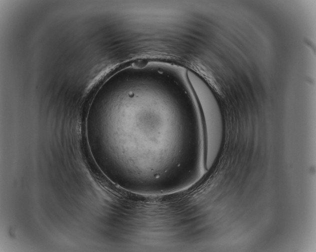 X0000091570348200708271203