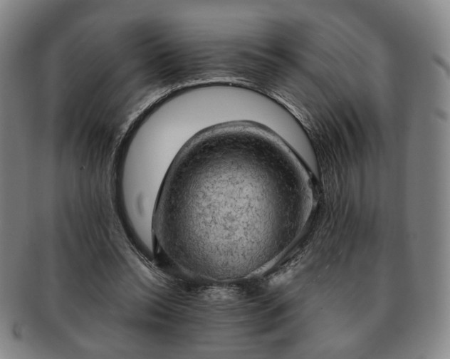 X0000091570350200708271203