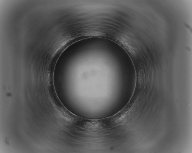 X0000091570351200708271203