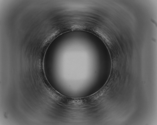 X0000091570353200708271203