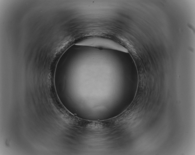 X0000091570354200708271204